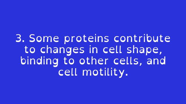 Functions Arising from Protein Interactions: Lesson 37 from "Rethinking Evolution". смотреть онлайн