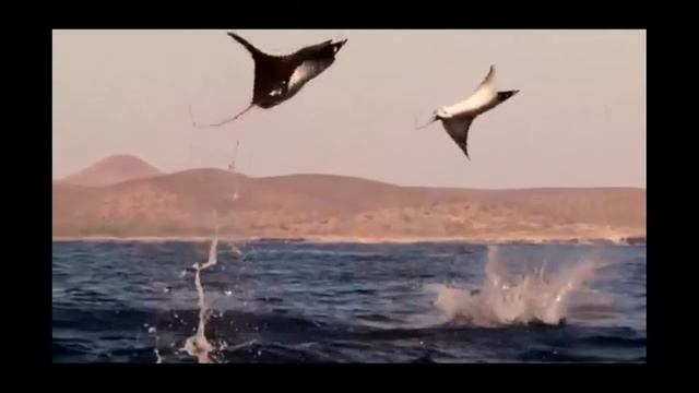 Море разное бывает.. смотреть онлайн