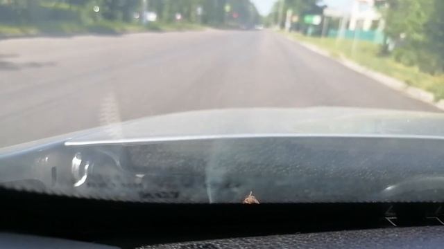 Поездка в поселок Дубровицы смотреть онлайн