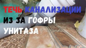 Течь канализации из за гофры унитаза