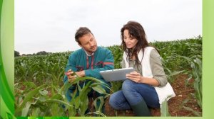 ТРУД ЛЮДЕЙ ВЕСНОЙ