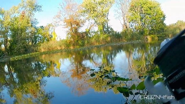 Fishing a 10 year old pack of Zoom Twister tail grub soft plastic. It still works! #twistertail смотреть онлайн