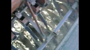 мтз80+сз3.6 посев люцерны с ячменем