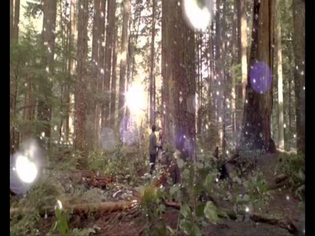 Charles-Camille Saint-Saens "Aquarium" (from "The Carnival of the Animals") смотреть онлайн