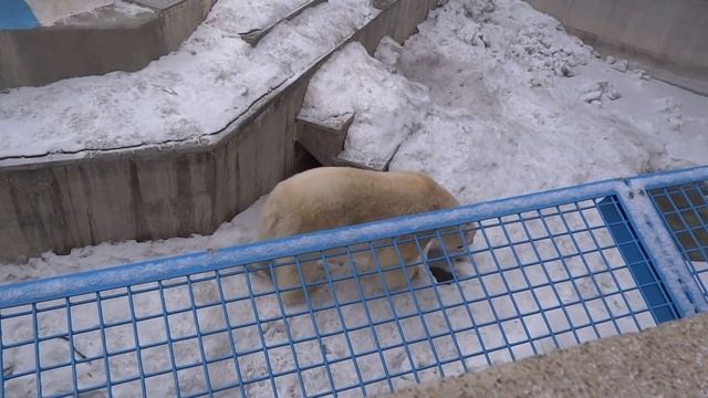 Маленькая ванна для большого Кая смотреть онлайн