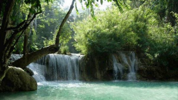 Agadadash Agayev - gozel gozlerin