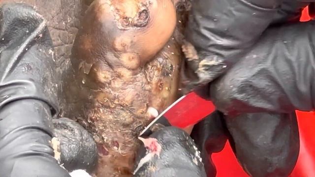 Moses’s badly jiggered right foot part A - watch full video and many more @riseupsociety.net смотреть онлайн