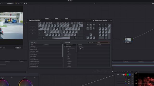 Node Label Keyboard Shortcut Davinci Resolve 18 (Tutorial) смотреть онлайн