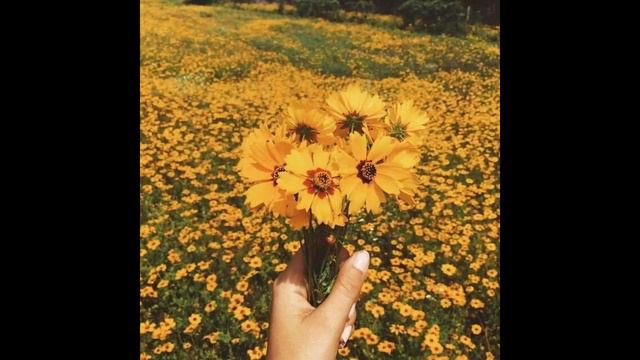 | | ✨ | | Эстетика | | Желтый цвет | | #9 | | 💛 | | смотреть онлайн