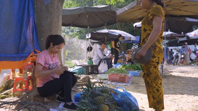 Harvest MANGO ROSA garden goes to the market sell | Hanna Daily Life смотреть онлайн