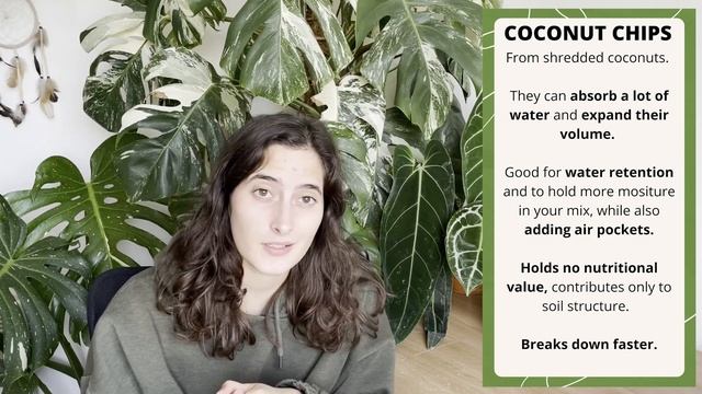 ANTHURIUM SOIL MIX: Recipe & Components Explained!