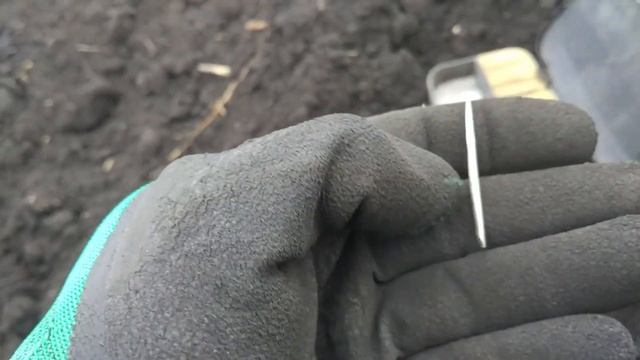 Коп с женой по старине. RUTUS Ultima, xp deus, аська 250. смотреть онлайн