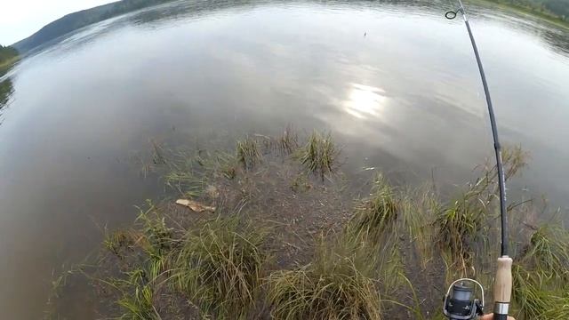 Рыбалка. Ловля хариуса, налимчика, сома на р. Зея.