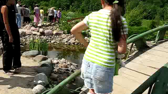 Следово, Костромская область смотреть онлайн