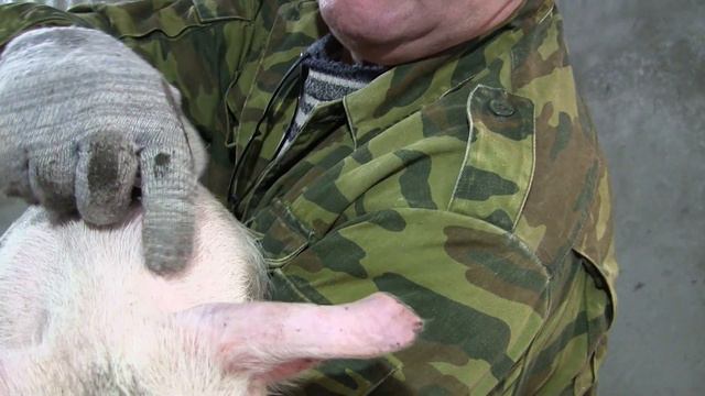 ГОНЯЕМ АСКАРИДОК! смотреть онлайн