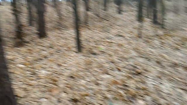 Покопал на выходных. Купил металлоискатель смотреть онлайн