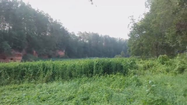 Водный поход на байдарке по Салаце от Мазсалацы до Салацгривы