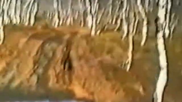 За зайчатиной смотреть онлайн