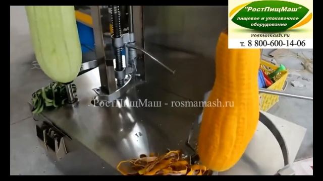 Обзор чистки тыквы на двух стойках SL-TYW-150-2 от РостПищМаш смотреть онлайн