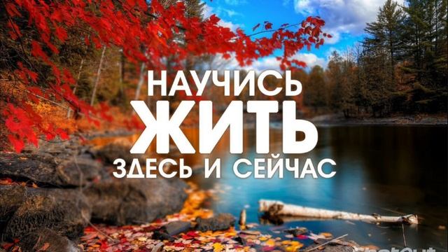 Shotcut-20240106-021052.mp4