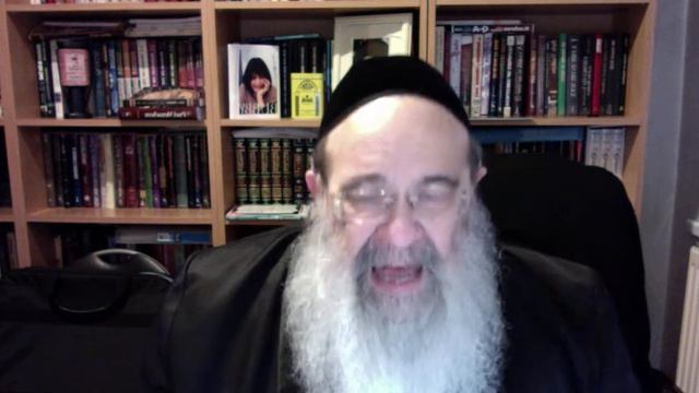 Thinking the Four Questions at the Seder | Harav Y. Reuven Rubin Shlita | Aishk Kodesh UK смотреть онлайн