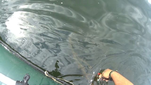 Сплав №2 #урал #оренбург #голавль смотреть онлайн