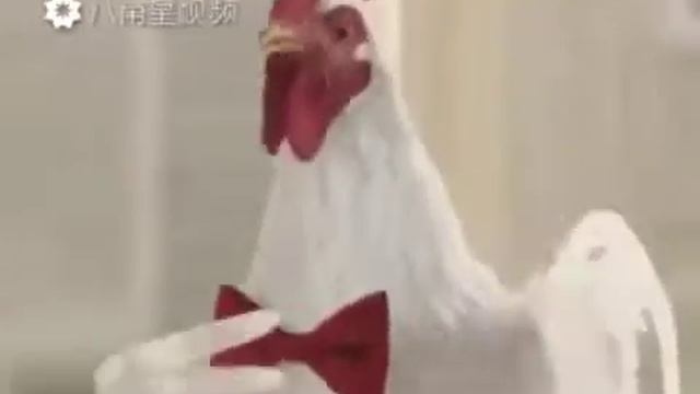 Когда петух пает песни смотреть онлайн