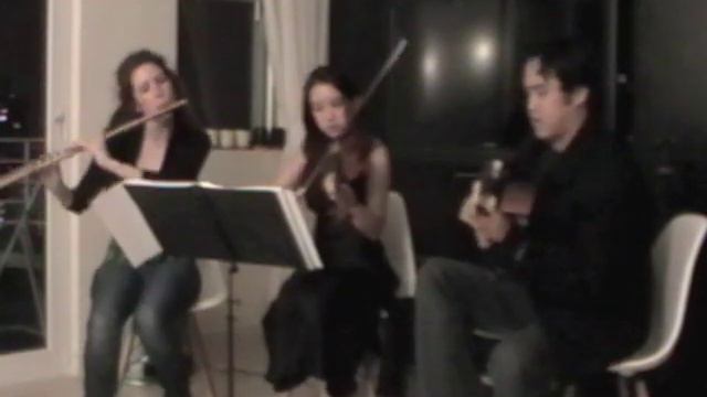 Runaway (The Corrs): flute, violin, guitar cover смотреть онлайн