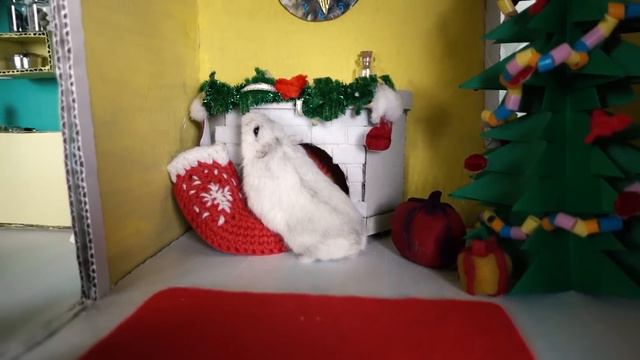 Hamster Christmas House 🏠🎄🎅 Cardboard Hamster Xmas House 🏠 Homura Ham