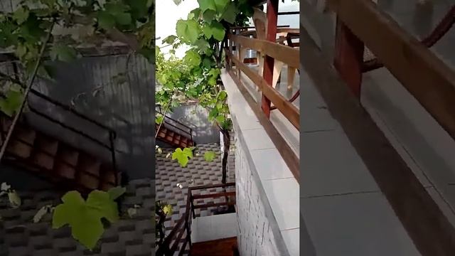 Стоимость аренды жилья в Витязево. Обзор гостевого дома "У Иваныча" смотреть онлайн