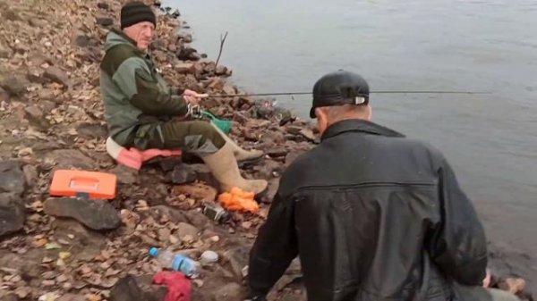 кот по имени #Василий.