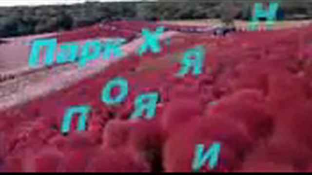 музыка для души мишель легран саксофон музыка смотреть онлайн