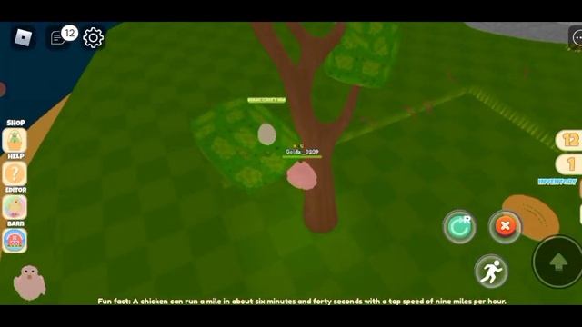 ROBLOX CHICKEN LIFE #002 #roblox #chicken #life #fun #game #gaming #enjoy #gameplay #mobilegame
