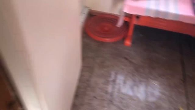 Vlog#7 НАША ДАЧА/ПРИЕХАЛА БАБУШКА/14ФЕВРАЛЯ смотреть онлайн