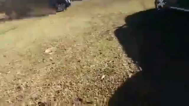 Beto Lopes cavalo de pau! смотреть онлайн