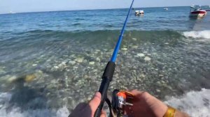 Рыбалка в Турции?? Кефаль на хлеб | Средиземное море | Кемер | Fishing in Turkey