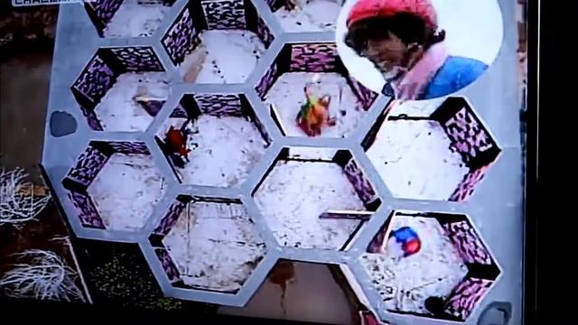 Takeshi's Castle - Best of maze cheats смотреть онлайн