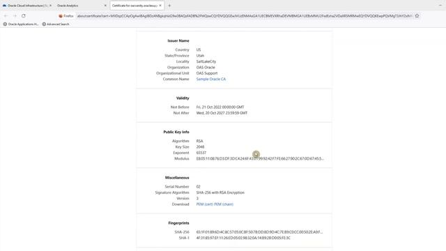Open RPD in the Cloud using OAC Vanity URL смотреть онлайн