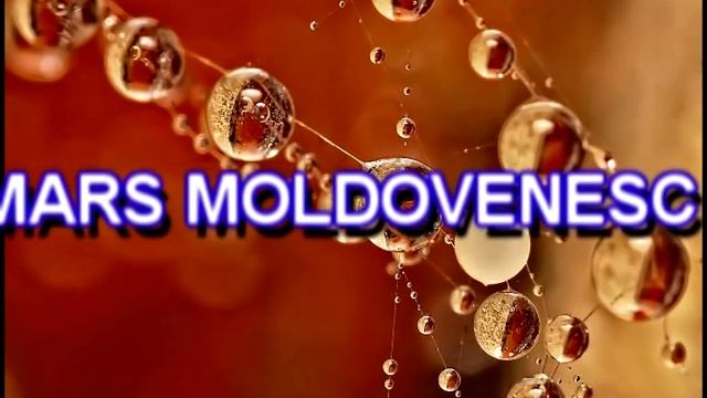 UN MARS MOLDOVENESC смотреть онлайн