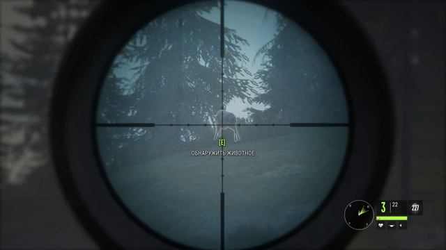 Ловим рогатого [the Hunter: Call of the Wild | Охота | ОнЛайн СТРИМ] смотреть онлайн