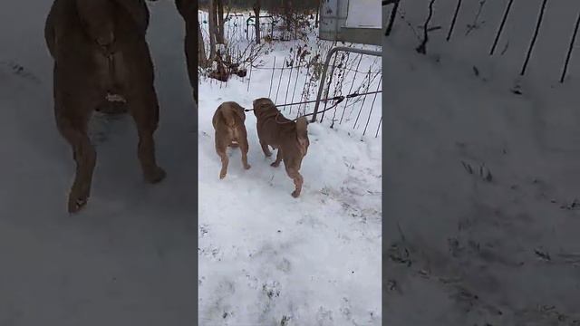 Муня 7 лет и Лилуня 6 лет смотреть онлайн