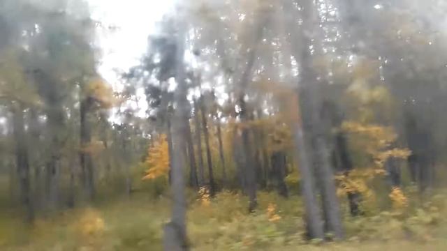 ОСЕННЕЕ НАСТРОЕНИЕ смотреть онлайн