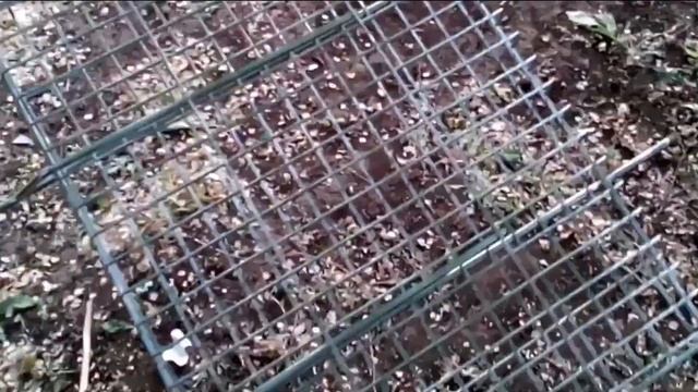 Вкусная еда для всех случаев жизни 