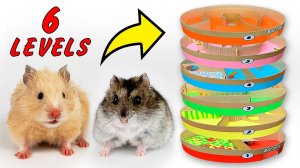 Хомяки в 6-этажном круглом лабиринте _ Лабиринт из картона - DIY