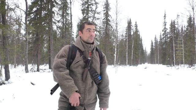 ОХОТА НА БОРОВУЮ ДИЧЬ С СОБАКОЙ. ГЛУХАРИ ВООБЩЕ НЕ СИДЯТ.