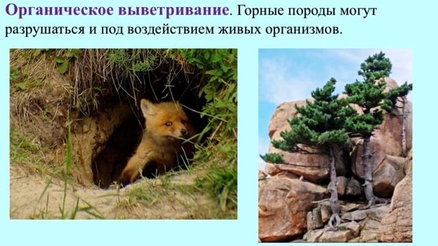 Тема 18. Влияние внешних процессов на формирование рельефа (7 класс) смотреть онлайн