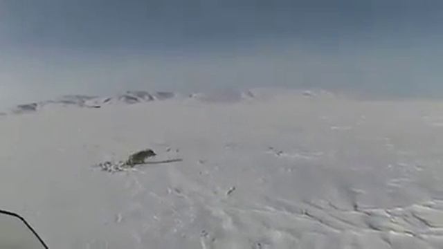 Ошибка охотника! смотреть онлайн