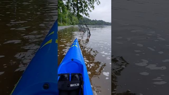 Филевский парк Москва, паводок, дожди, surfski смотреть онлайн