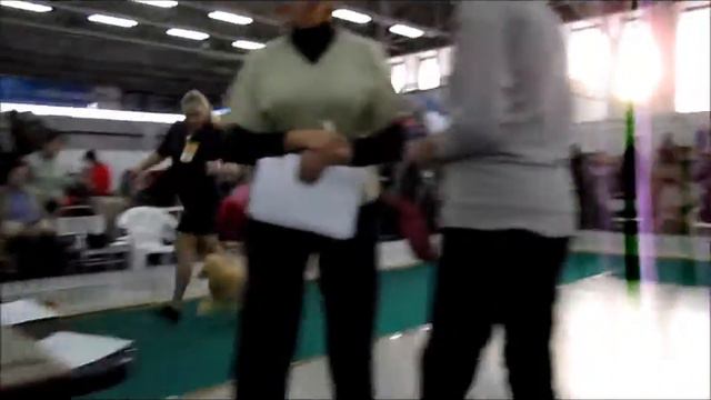 Сравнение карликов абрикосовых на ЛПП