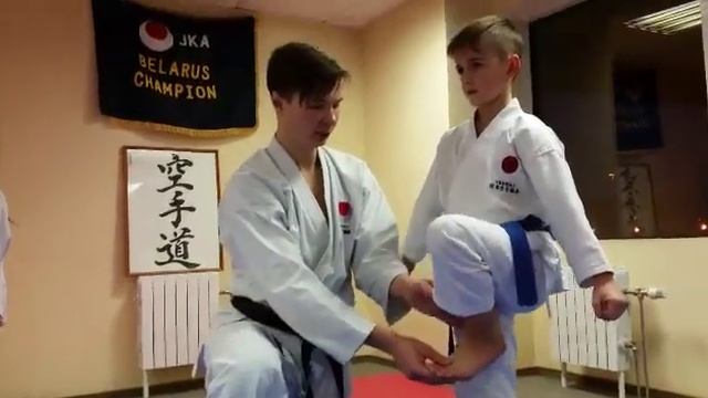 Подготовка к экзаменам JKA: учебное видео смотреть онлайн